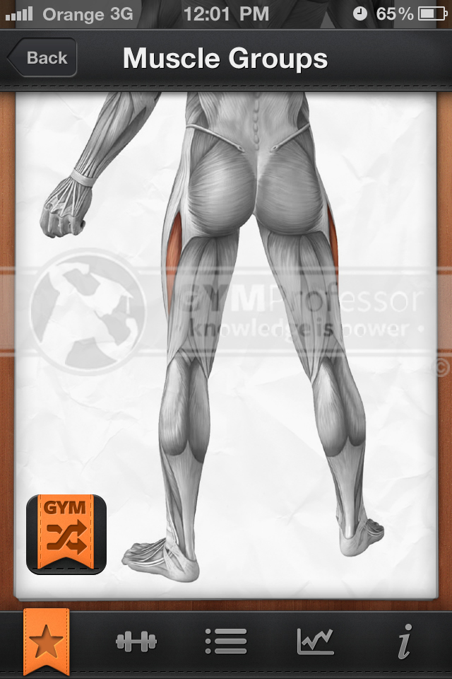 Exercise Diagrams - Inner & Outer Thighs